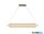 ALADDIN 28800SB Capsule LED Convertible Pendant, Satin Brass Metal and Acryl