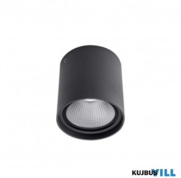 REDO 9581 XIA PL LED COB 20W IP54 DG 3000K (RO) (5.1.2)